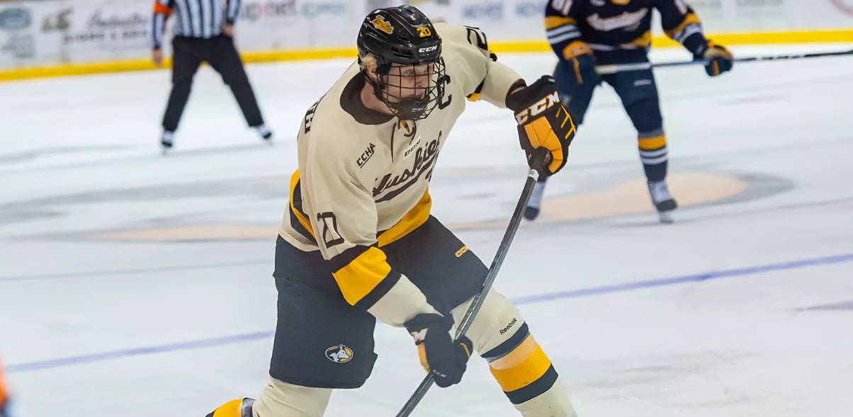 Michigan Tech Huskies